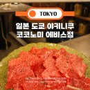 도쿄 일본여행 에비스 다이칸야마 나카메구로 야끼니꾸 코코노미 후기