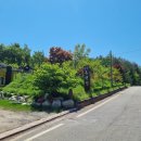 왕곡애견동반펜션 이미지