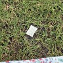 뽑고가요 | PENTAPORT 2025: 적당히 할 거면 왜 가요