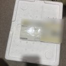 남해안 | 신선만 알쭈꾸미 남해안 활쭈꾸미 후기 손질 샤브샤브 알배기 쭈꾸미 내돈내산