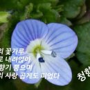 별마중 이미지