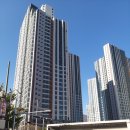 롯데골드세탁 이미지