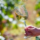 행진마트 이미지