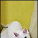 호텔스테이온 이미지