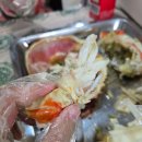 포항죽도시장 성후수산 택배로 받는 수율 좋은 러시아대게 후기
