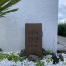 바이신산 이미지