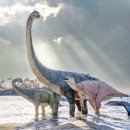 염성해수욕장 이미지