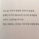 한 여름밤의 매미 소리✨ 이미지