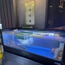 6986 | 전포동이자카야 사나래 분위기 좋은 공간에서 모둠사시미 먹고 온 후기