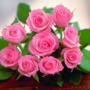 인경이네 이미지