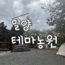부산 근교 수영장캠핑장으로 유명한 밀양 테마농원 캠핑장