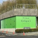 고전무용 초급B | 리움미술관 '티노 세갈' 전시회, 멤버십 프리뷰 관람 후기 &amp; 작품 해석