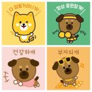 설레개 이미지