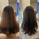 이마트24진주인사점 | 진주미용실추천 프라이빗하게 관리받으세요 위닛 진주혁신도시점 애쉬브라운염색후기