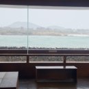 카페젠타일스 - 서귀포시 효돈로 133 | 젠타일스 애견동반 가능? 표선바다뷰카페 카페젠타일스 주차·카공 후기