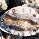 약이 되는 음식, 체질별 음식궁합 이미지