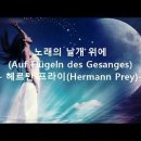 F. 멘델스존_ Auf Flügeln des Gesanges(노래의 날개 위에) 이미지