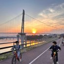 파사성 소나무 이미지