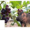 서울경희한의원 이미지