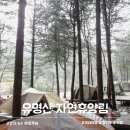 유명산자연휴양림 | 가평 유명산 자연휴양림 자전거 캠핑 후기 (간소화된 준비물)