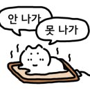 바다로펜션 - 제주시 곽지7길 15 | 바다로펜션
