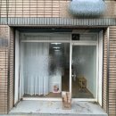 G3813 이미지