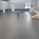 다온유치원 이미지