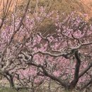 산성계곡 생태공원 내 이미지