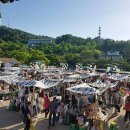 주식회사 라피스 이미지