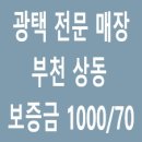 에이스자동차용품점 이미지