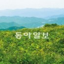 산좋고물좋고 이미지