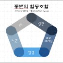 통번역협동조합(ITC)에서 통번역에 열정이 넘치는 신입 멤버를 모집합니다! 이미지