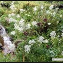 지수목장 이미지