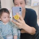 미르중기 이미지