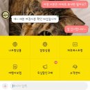 국제버스노동조합 | 6월 베트남 나트랑 3박5일 여자끼리 태교여행 1일차 깜라인 국제공항 패스트트랙 후기