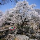 거함대로 이미지