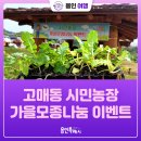 가을농장 | [용인여행] 고매동 시민농장 가을 모종 나눔 이벤트 참여 후기