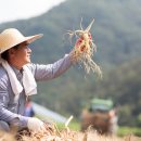 동방조아나 이미지