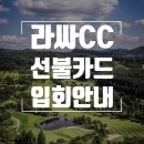 라싸디벨로프먼트(주)