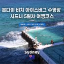 베티스하우스&카페 | 시드니 5일차 | 달리고, 걷고, 헤엄쳤다! 시드니 러닝·코스탈워크·아이스버그 수영장 하루 코스