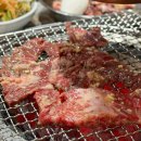 전현무계획 2 안동갈비 우정숯불갈비 한우구이 정보