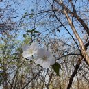 명일2동주민센터 이미지