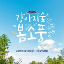 강아지소풍 이미지