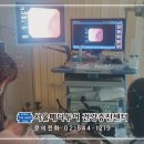 차이메디투어 이미지