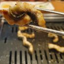 지중해자연산민물장어 이미지