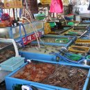 해변수산 이미지