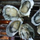 (주)석화 이미지