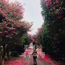 로타리 꽃농원 이미지