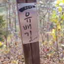 수정-37 | 37주 임산부, 리클라이너 영화관 괜찮을까? 직접 다녀온 후기