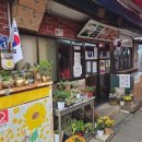 교동청춘부라보